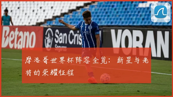 摩洛哥世界杯阵容全览:新星与老将的荣耀征程