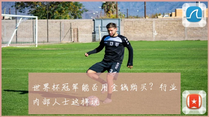 世界杯冠军能否用金钱购买?行业内部人士这样说