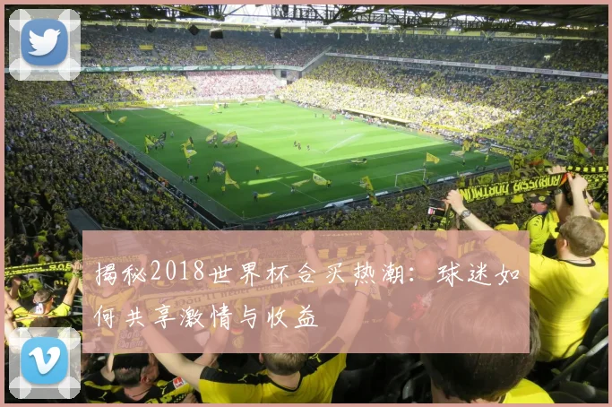 揭秘2018世界杯合买热潮：球迷如何共享激情与收益