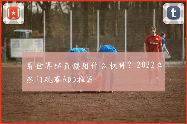 看世界杯直播用什么软件？2022年热门观赛App推荐